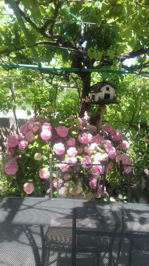 Guesthouse Familija Tariba 苏佩塔斯卡德拉加 外观 照片